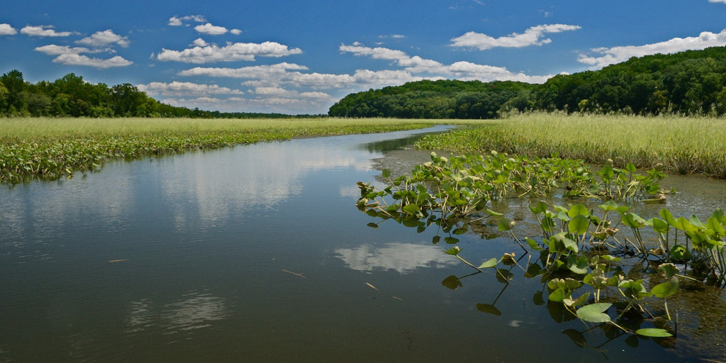 Crow's Nest Natural Area Preserve: Stafford, VA