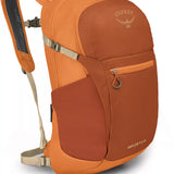 Daylite Plus
