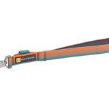 Front Range Short Leash
