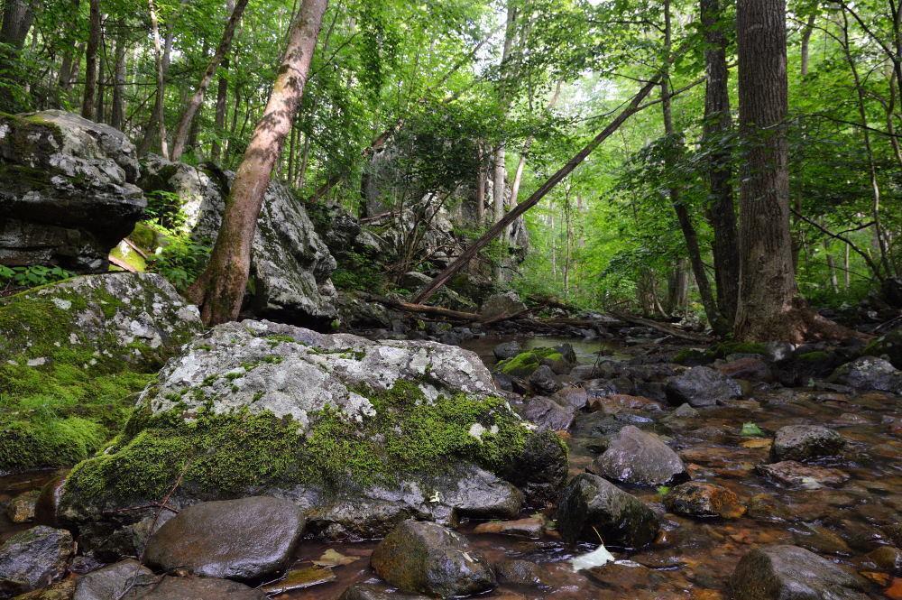 Protecting the Places Where We Adventure