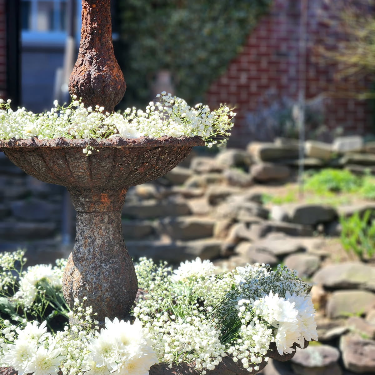 Micro Weddings & Elopements