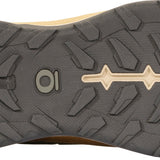 Men's Hyalite Low BDRY