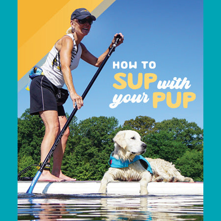 How to SUP with Your Pup